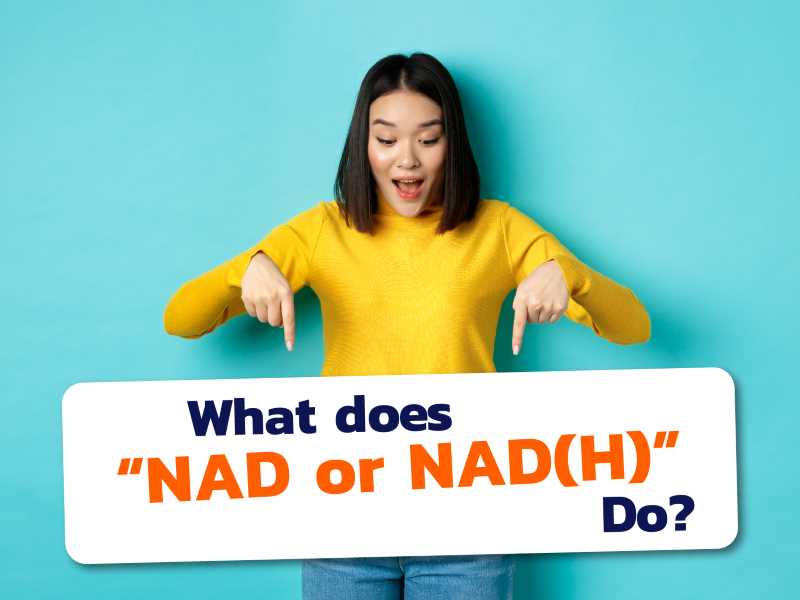 What does NAD or NAD(H) do?