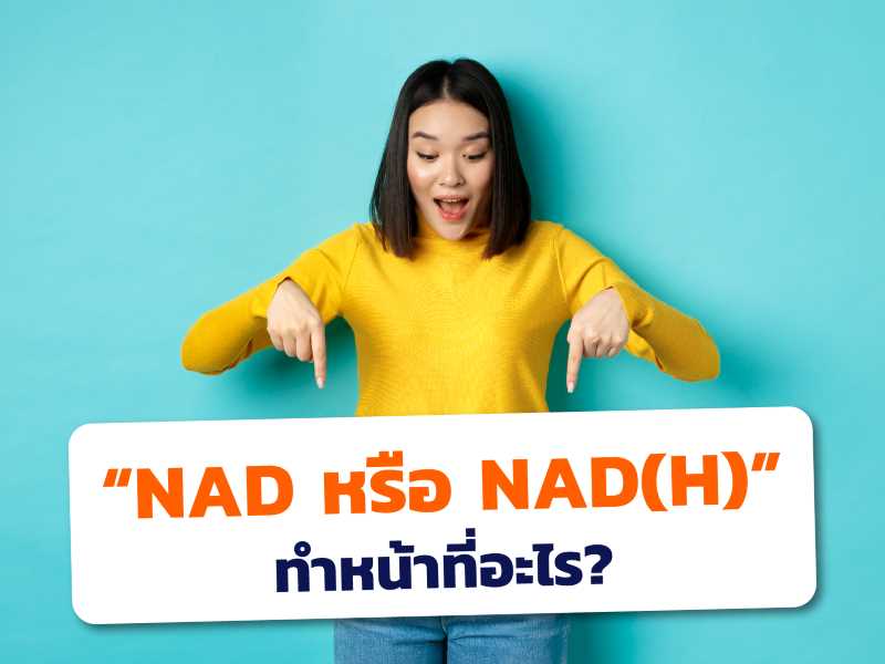NAD หรือ NADH ทำหน้าที่อะไร