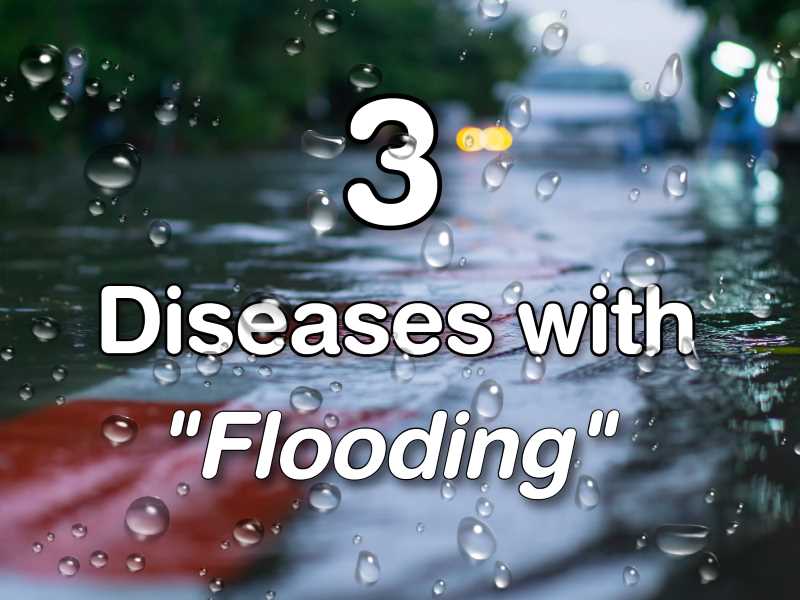 3 diseases with flooding