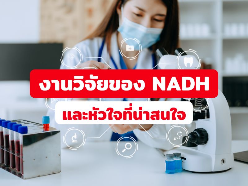 งานวิจัยของ NADH และหัวใจที่น่าสนใจ