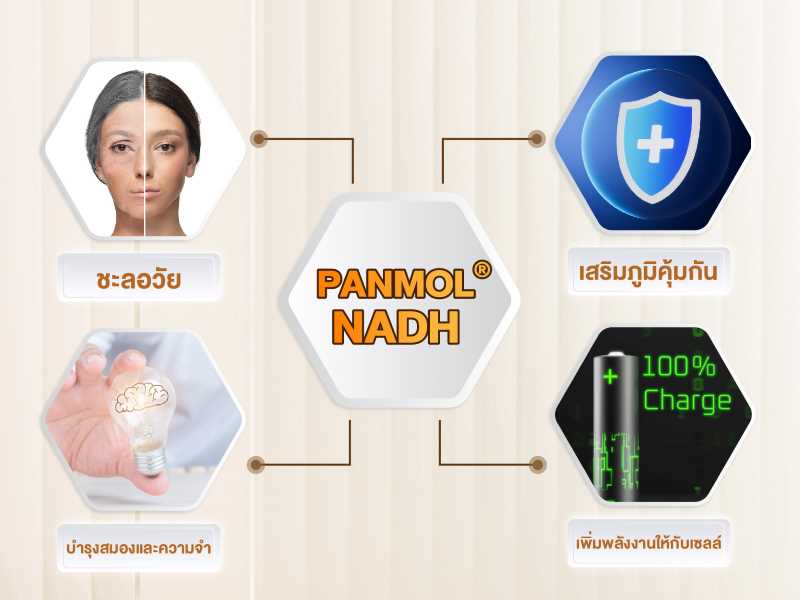 ประโยชน์ของ NADH ในด้านต่างๆ