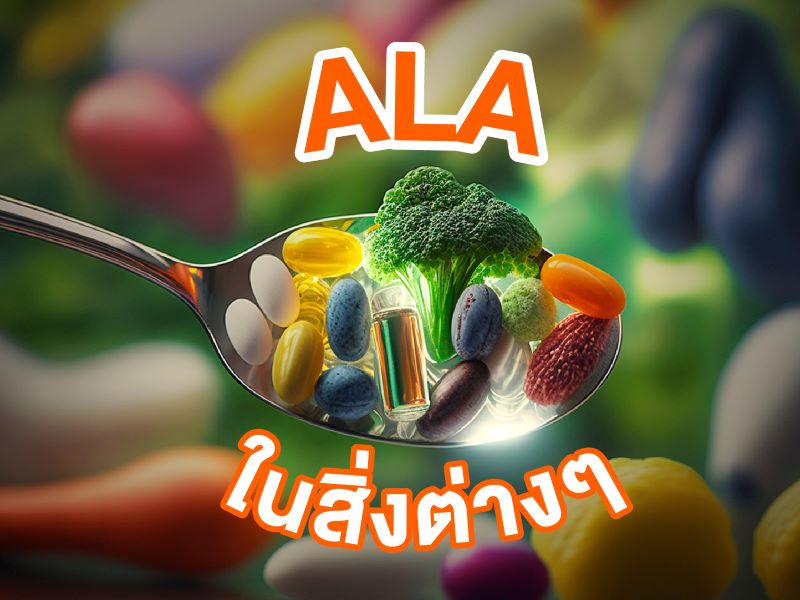 ALA ในสิ่งต่างๆ