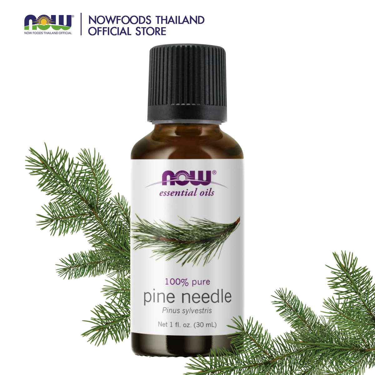 NOW Pine Needle Oil 1 fl. oz. (30 mL)