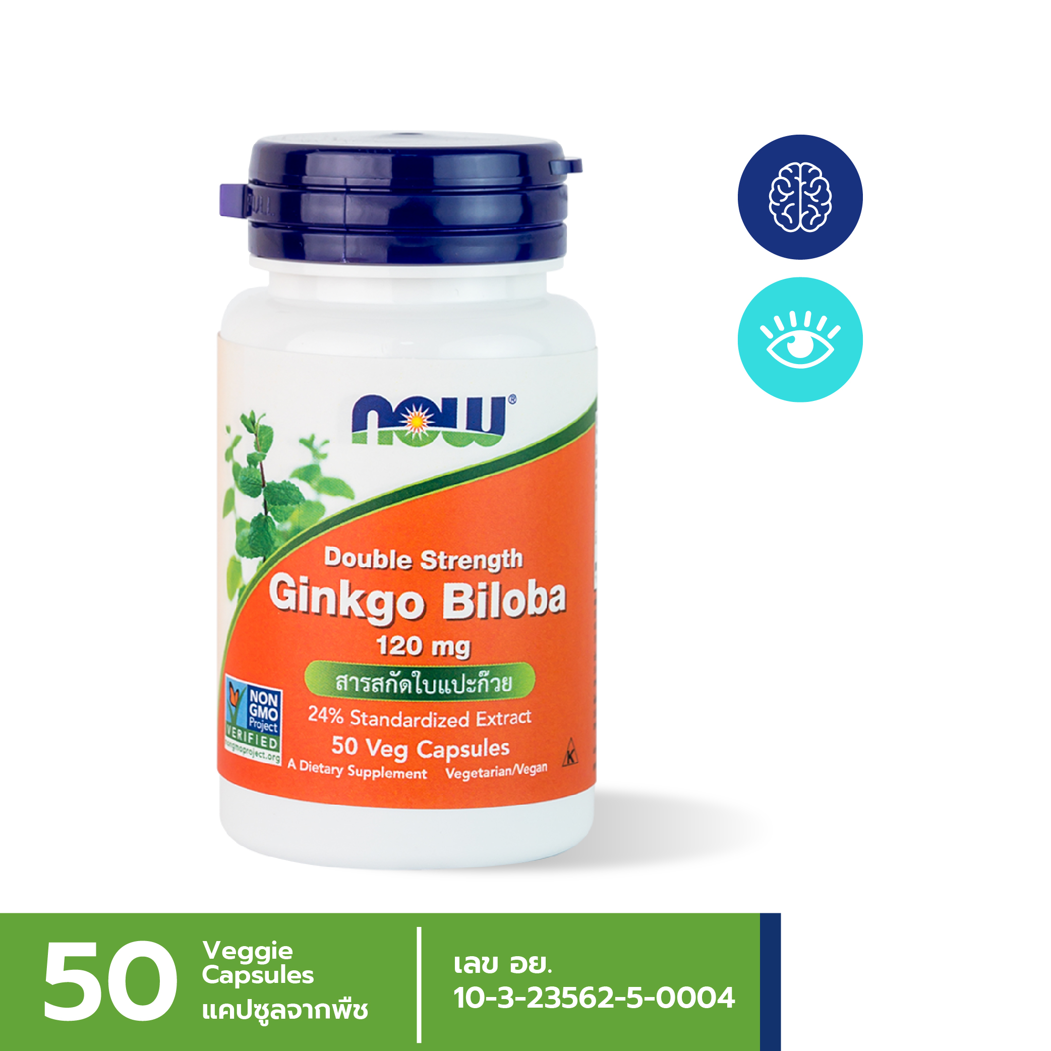 NOW Ginkgo Biloba 120 mg (50 Veg Capsule)
