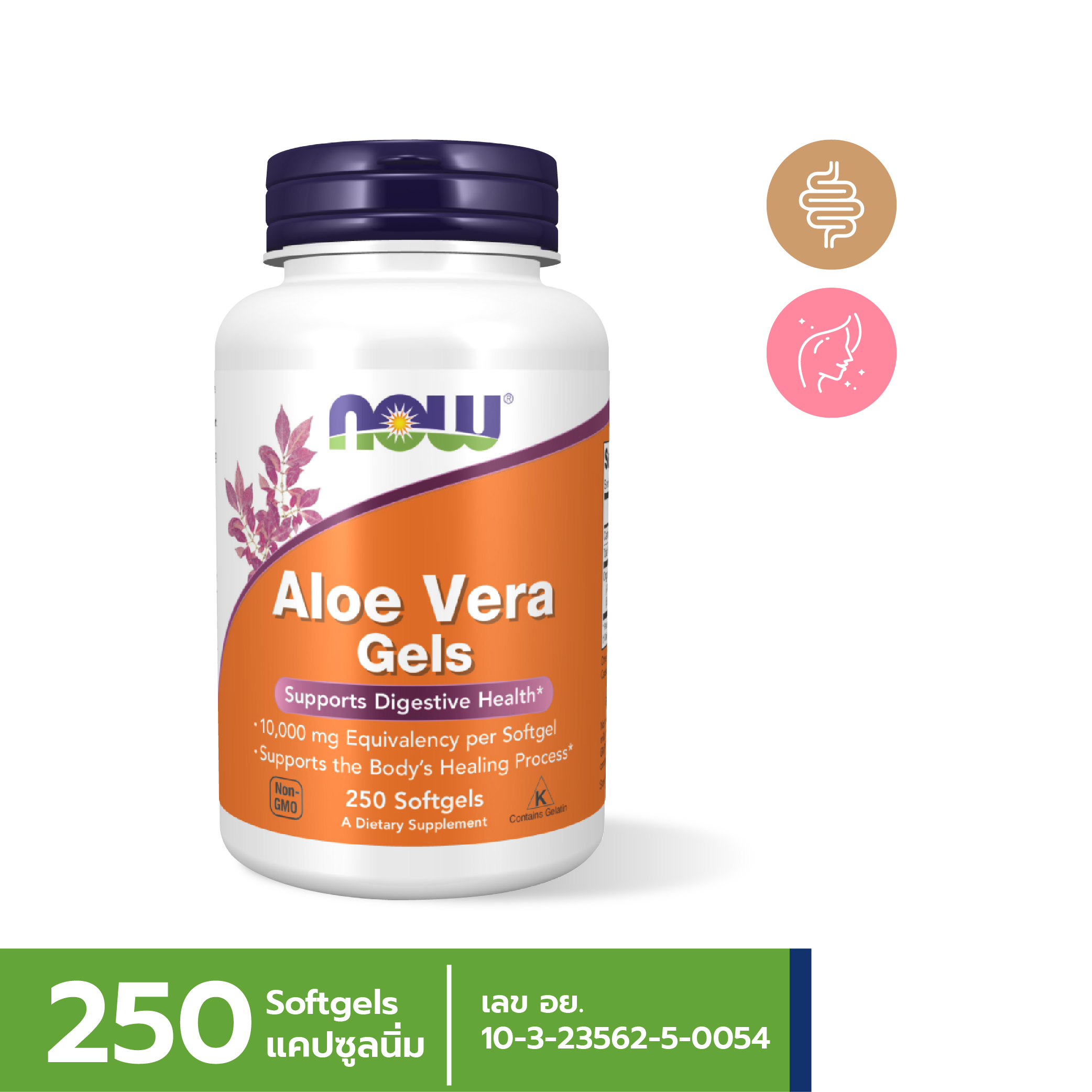 [กรอกโค้ด FEB80 ลดทันที 80.-] NOW Aloe Vera 10,000 mg (250 Softgels)