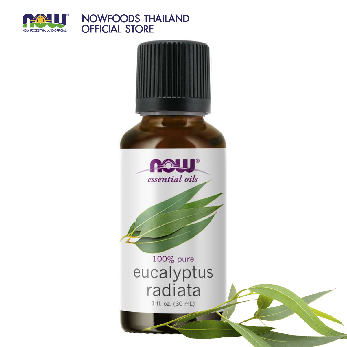 [กรอกโค้ด FEB80 ลดทันที 80.-] NOW Eucalyptus Radiata Oil