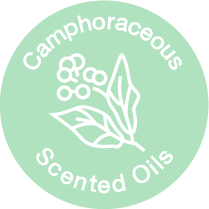 Camphoraceous Scented Oils