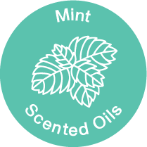 Mint Scented Oils