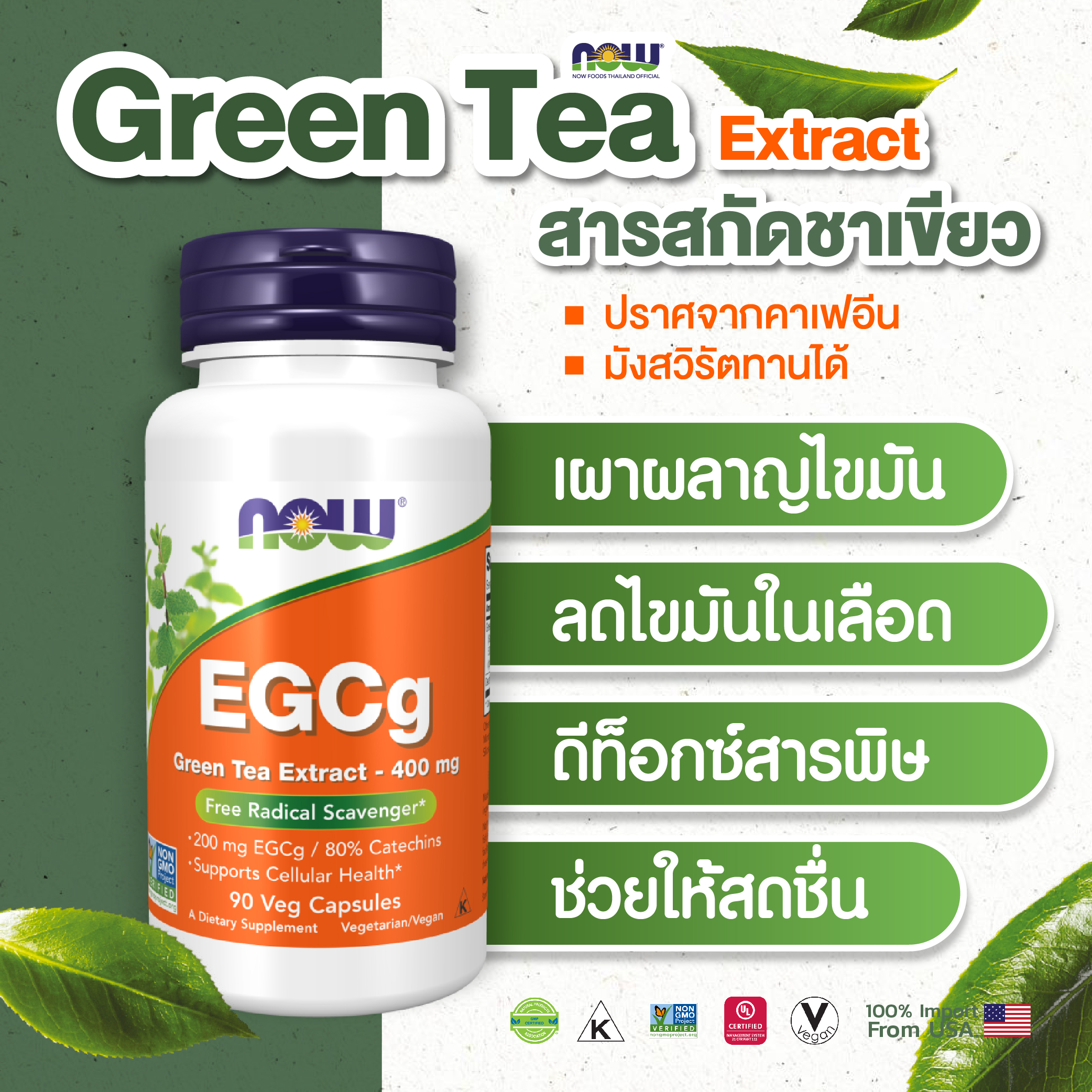 [ลูกค้าใหม่กรอก FORYOU89 ลดเลย 89.-] NOW Green Tea Extract 400 mg (90 Veg Capsule)