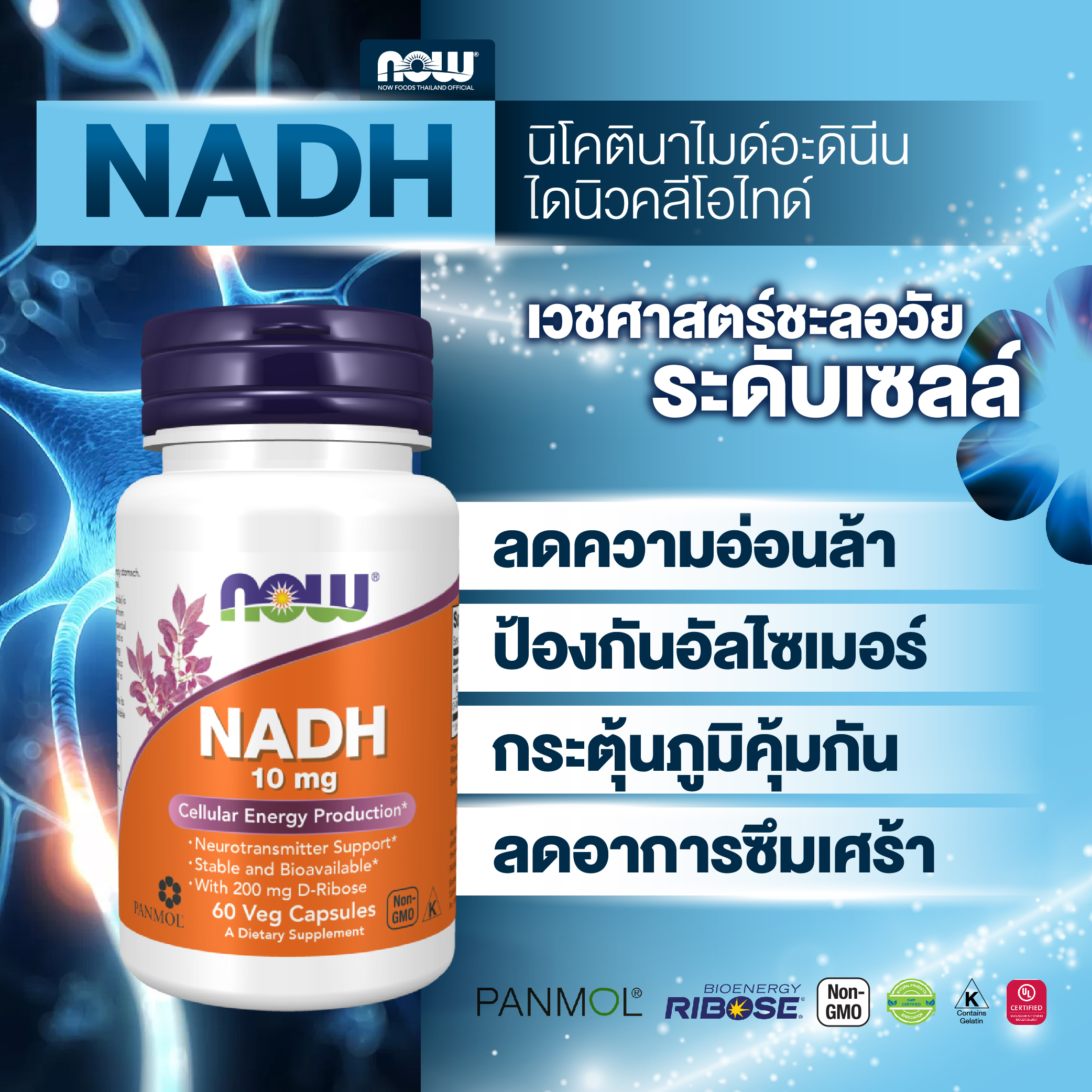 NOW NADH 10 mg 60 Veg Capsules