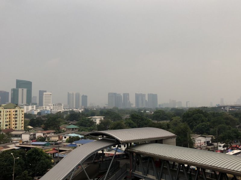 Quercetin and pm 2.5