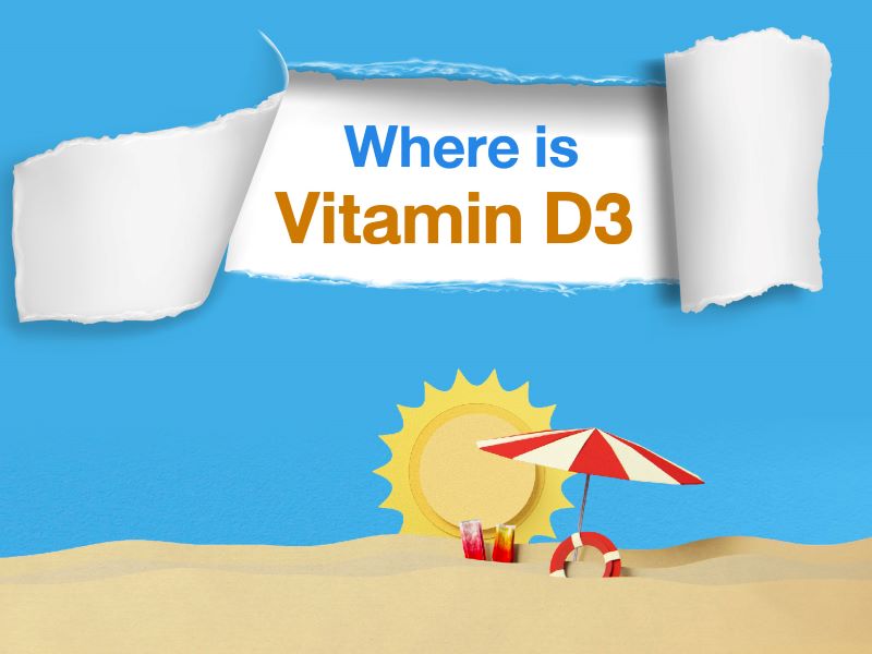 Where is Vitamin D3