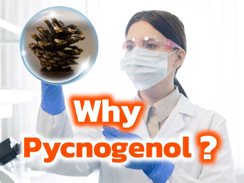 Why Pycnogenol?